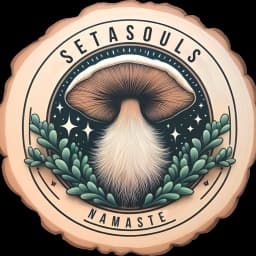Seta Souls logo