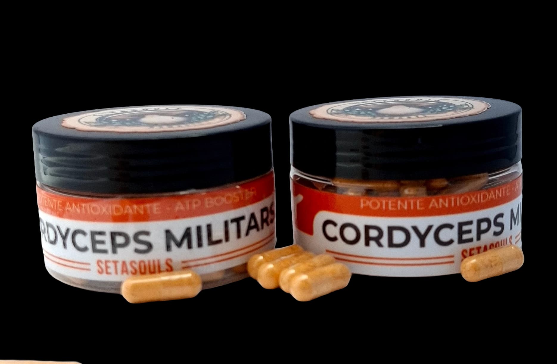 Cordyceps